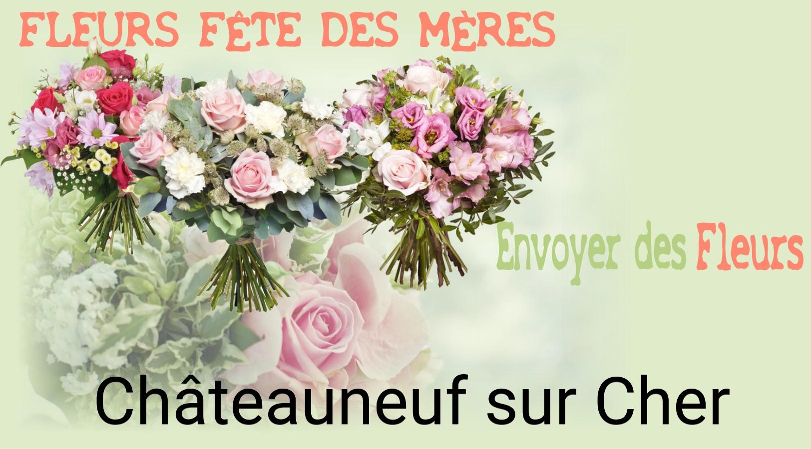 Bouquet de Fête des Mères livré à Châteauneuf-sur-Cher